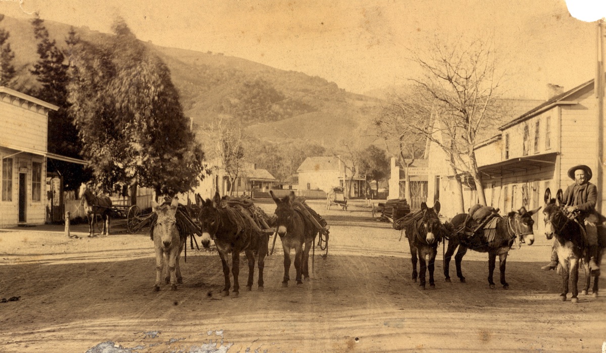 Historic view of early Saratoga downtown with wooden buildings and pack animals on the dirt street